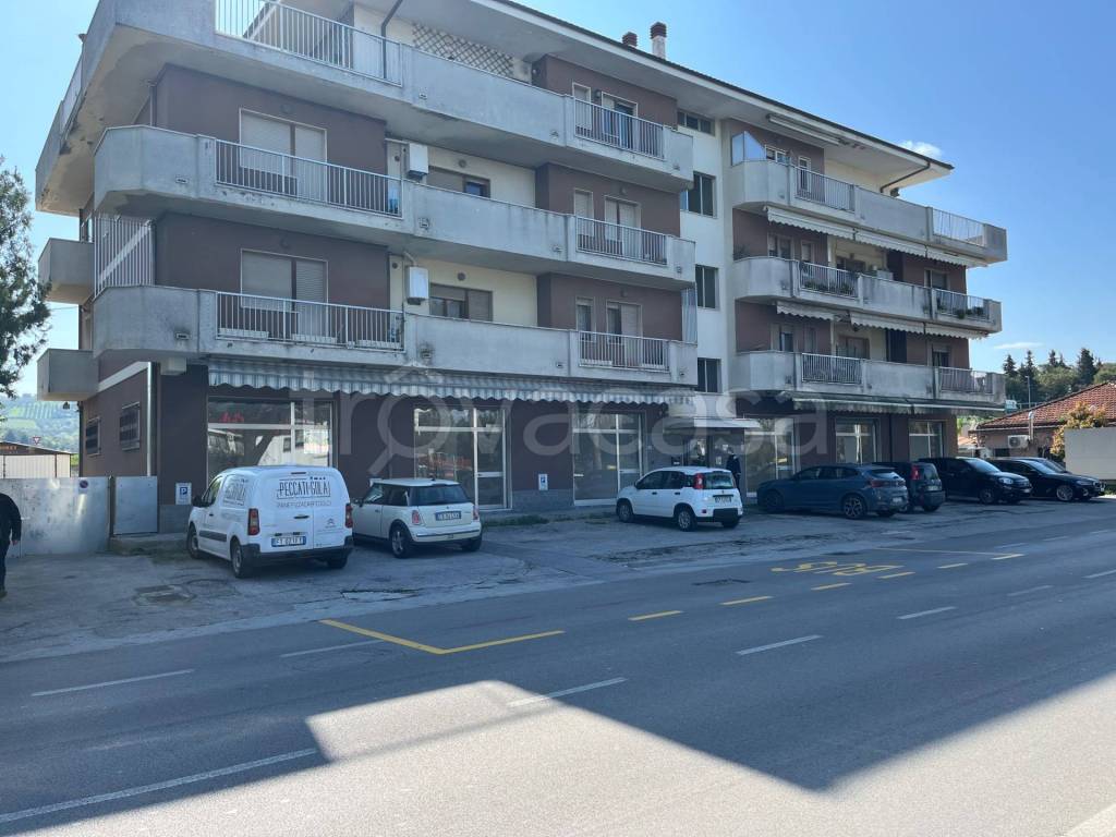 immagine annuncio 9 di 13