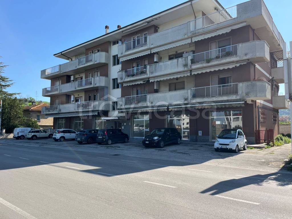 immagine annuncio 10 di 13