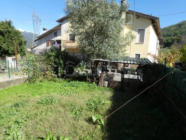 immagine annuncio 2 di 12