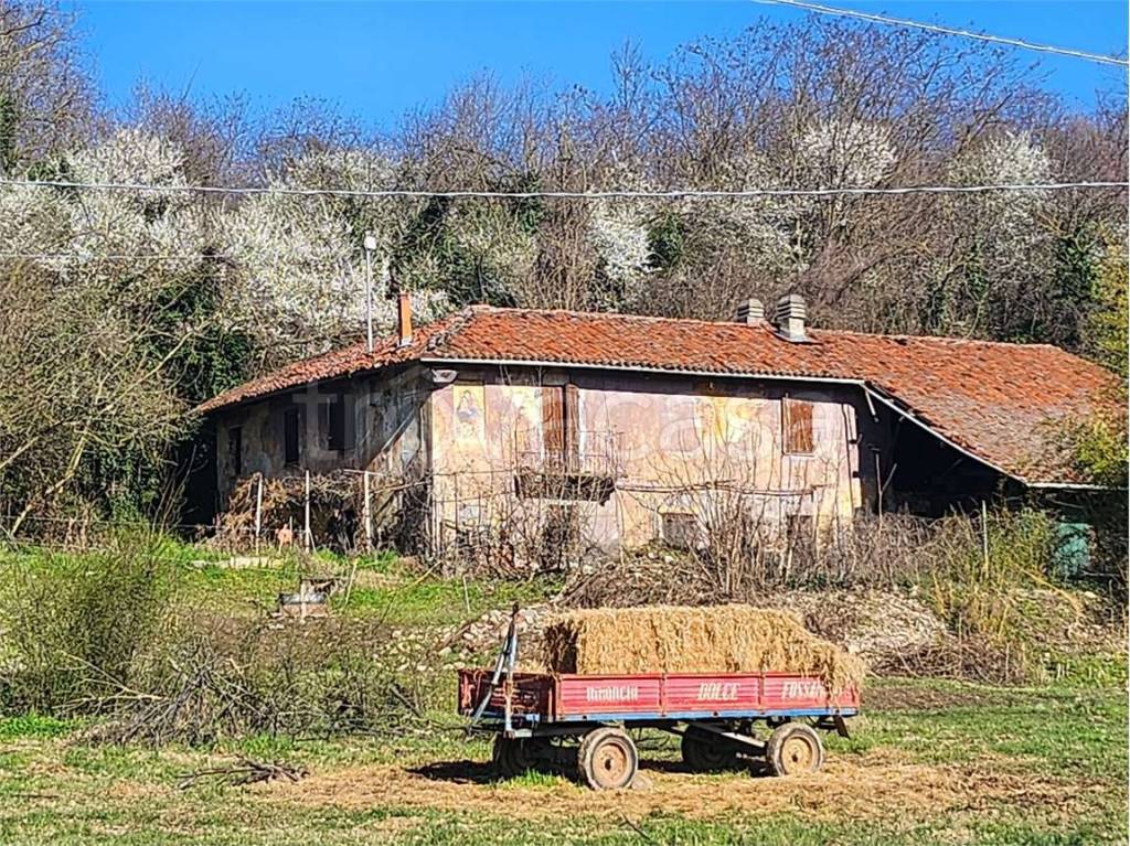 immagine annuncio 1 di 14