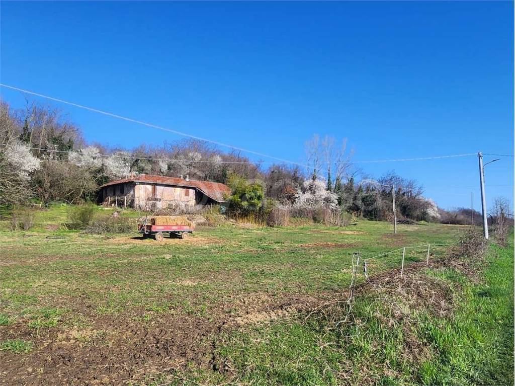 immagine annuncio 3 di 14