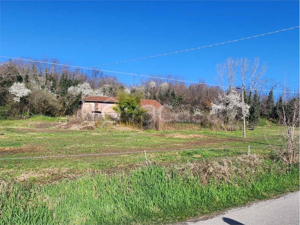immagine annuncio 8 di 14