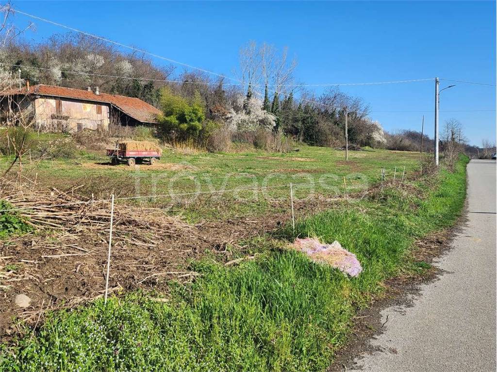 immagine annuncio 11 di 14