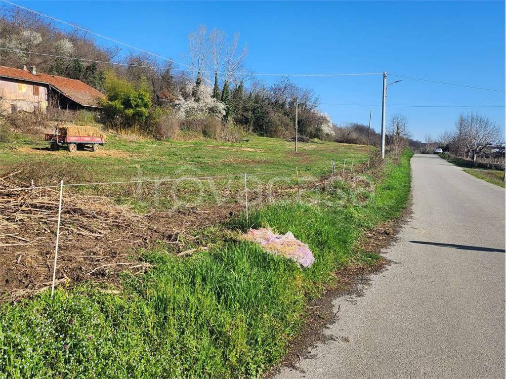 immagine annuncio 12 di 14
