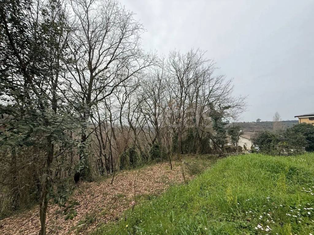 immagine annuncio 6 di 11