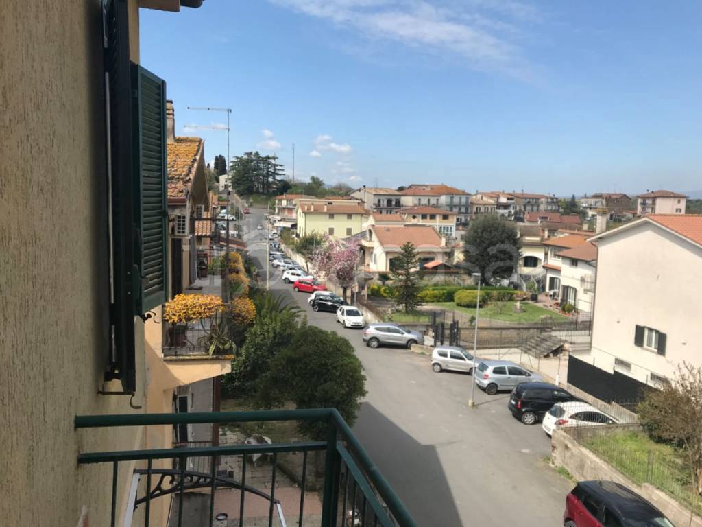 immagine annuncio 10 di 14