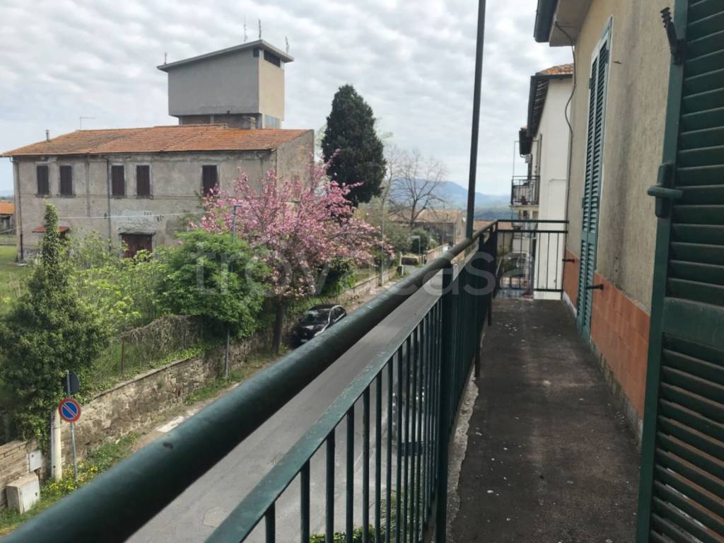 immagine annuncio 11 di 14