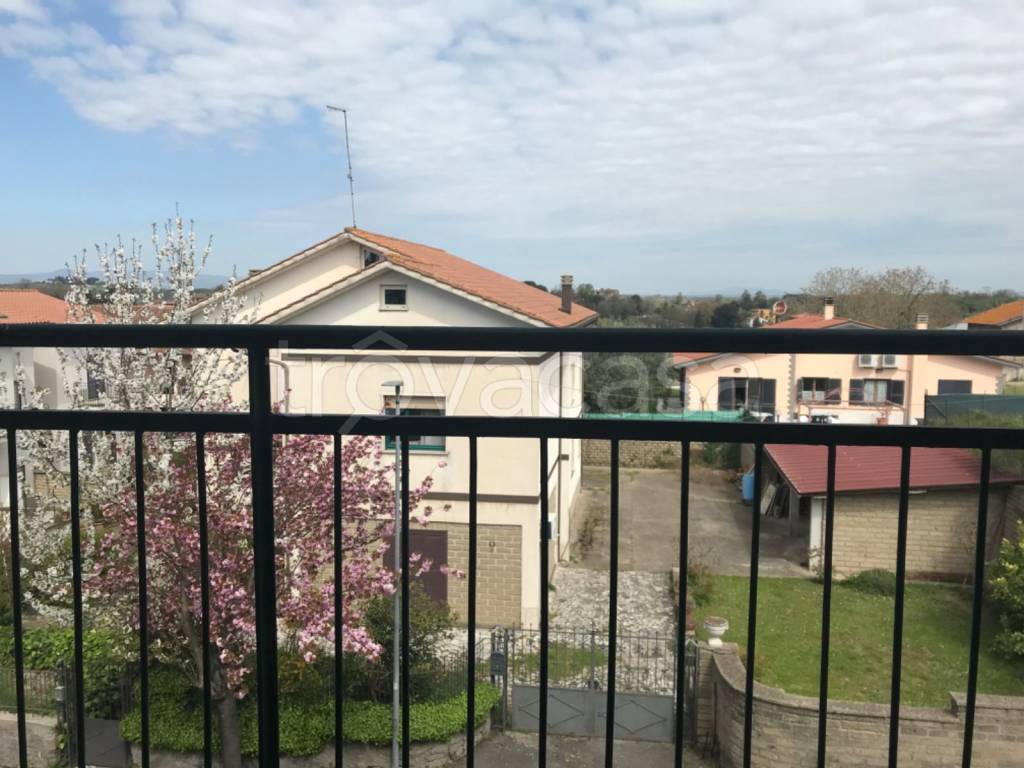 immagine annuncio 12 di 14