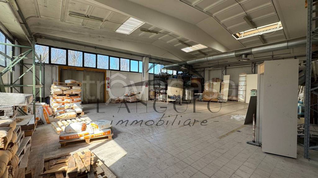 immagine annuncio 11 di 15
