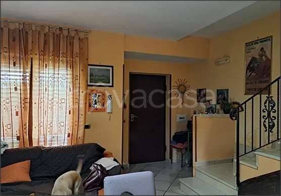 immagine annuncio 2 di 4