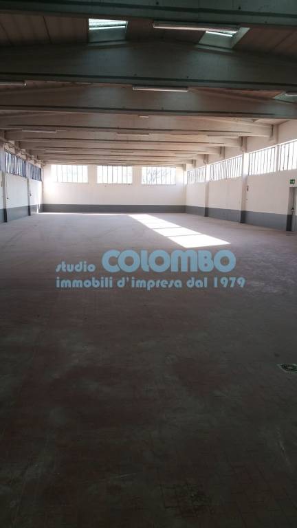 immagine annuncio 2 di 14