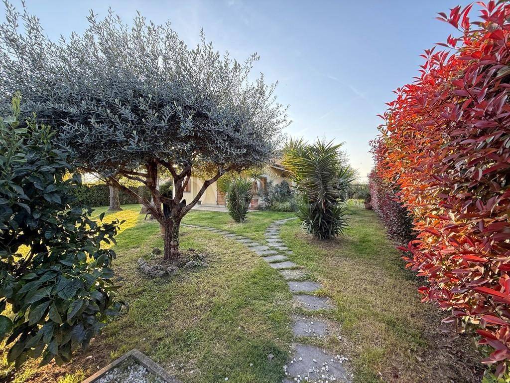immagine annuncio 4 di 15