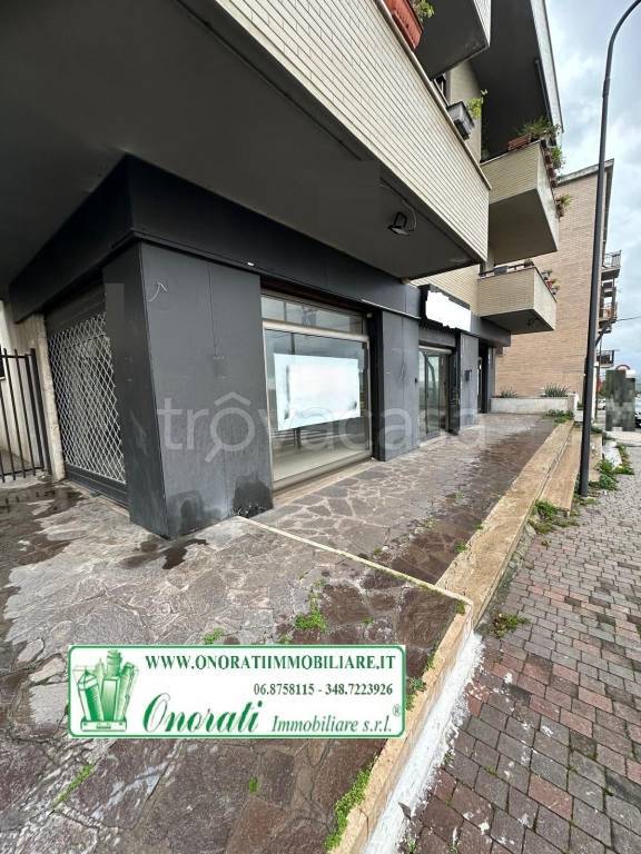 immagine annuncio 11 di 14