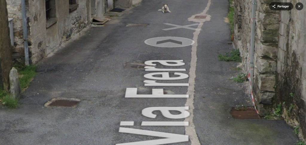 immagine annuncio 7 di 11