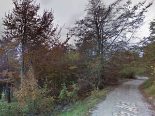 Terreno agricolo in vendita a caprino bergamasco via aral