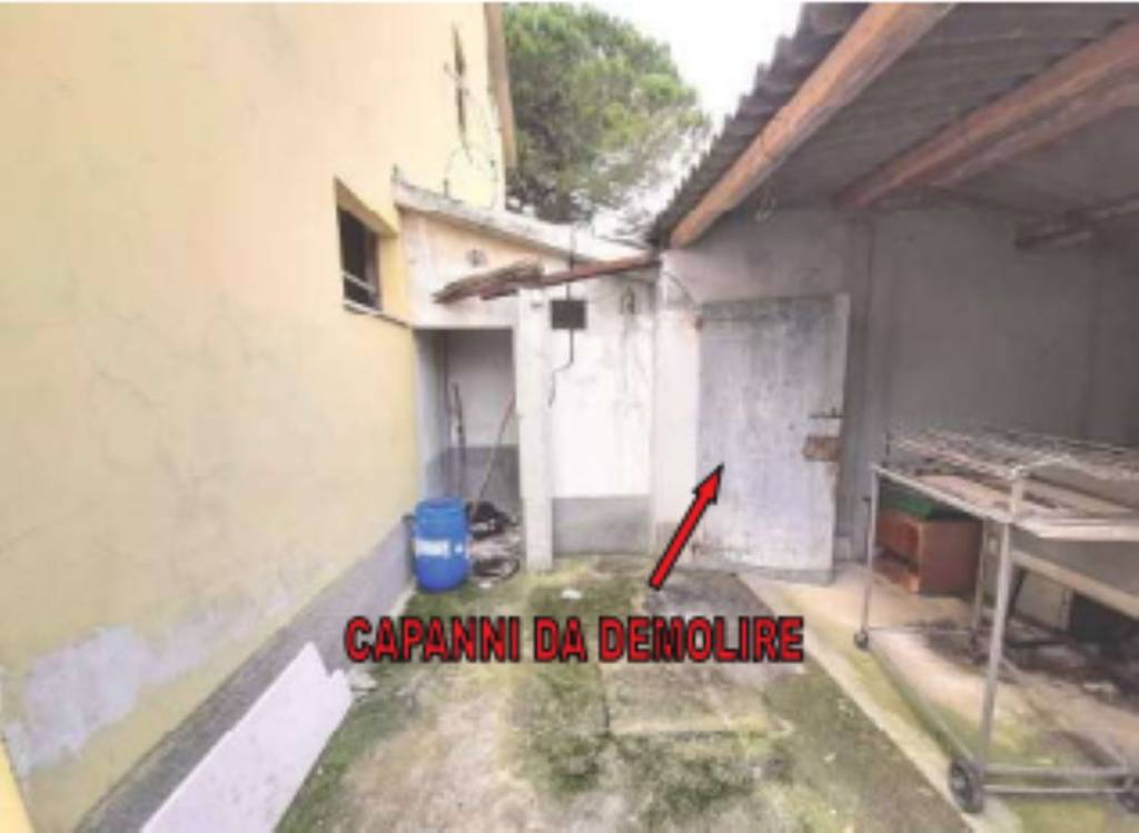 immagine annuncio 7 di 11
