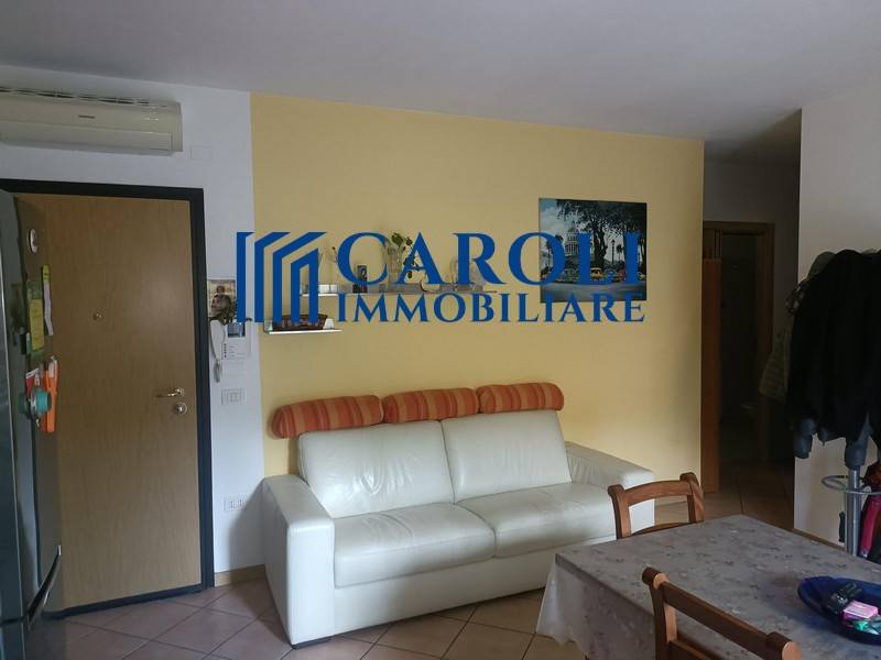 immagine annuncio 2 di 12