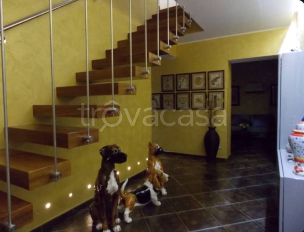 immagine annuncio 7 di 14