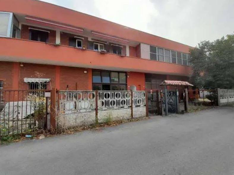 immagine annuncio 1 di 11