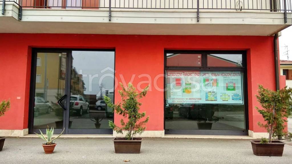immagine annuncio 4 di 12