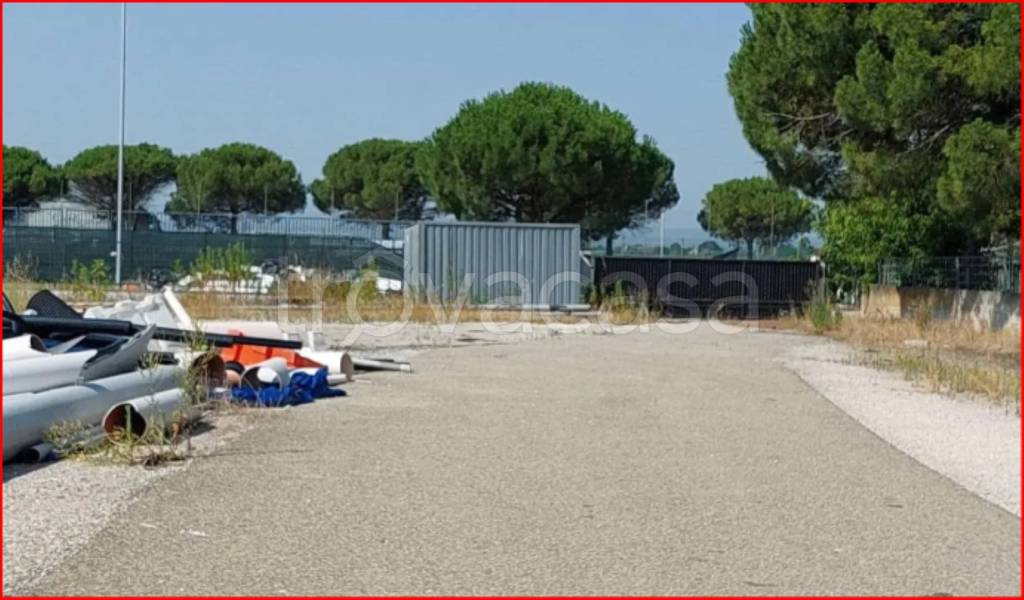 immagine annuncio 2 di 14