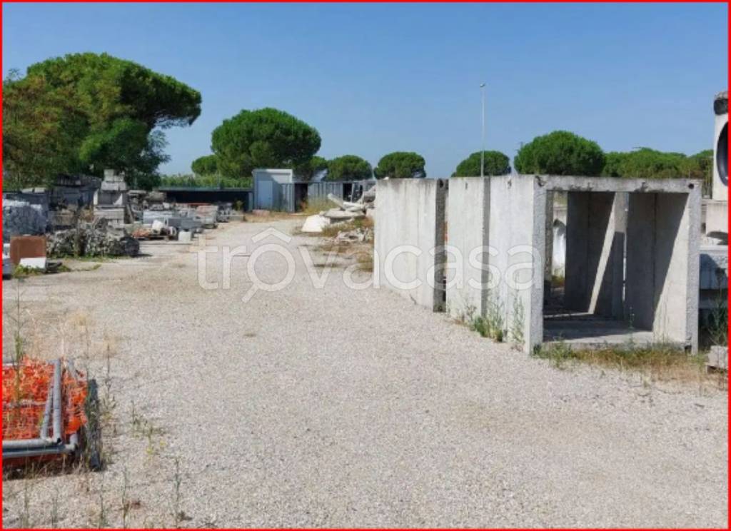 immagine annuncio 7 di 14