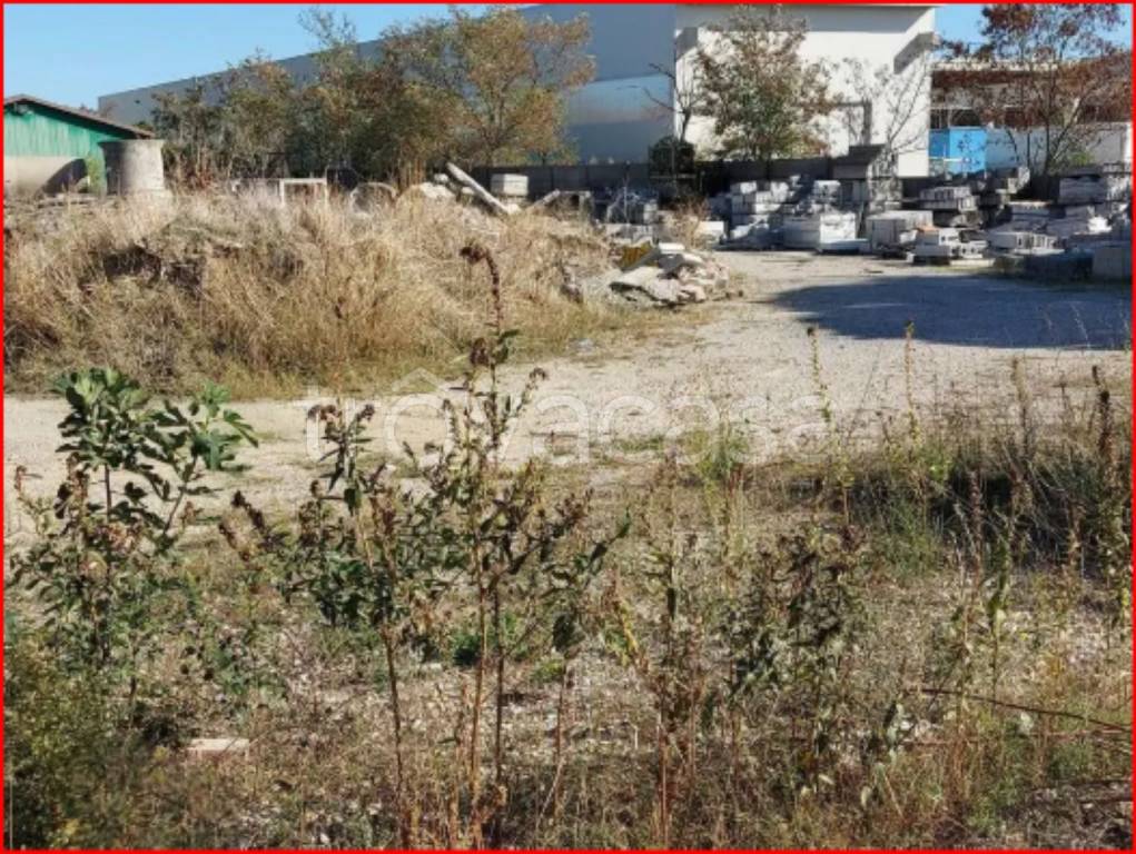 immagine annuncio 9 di 14