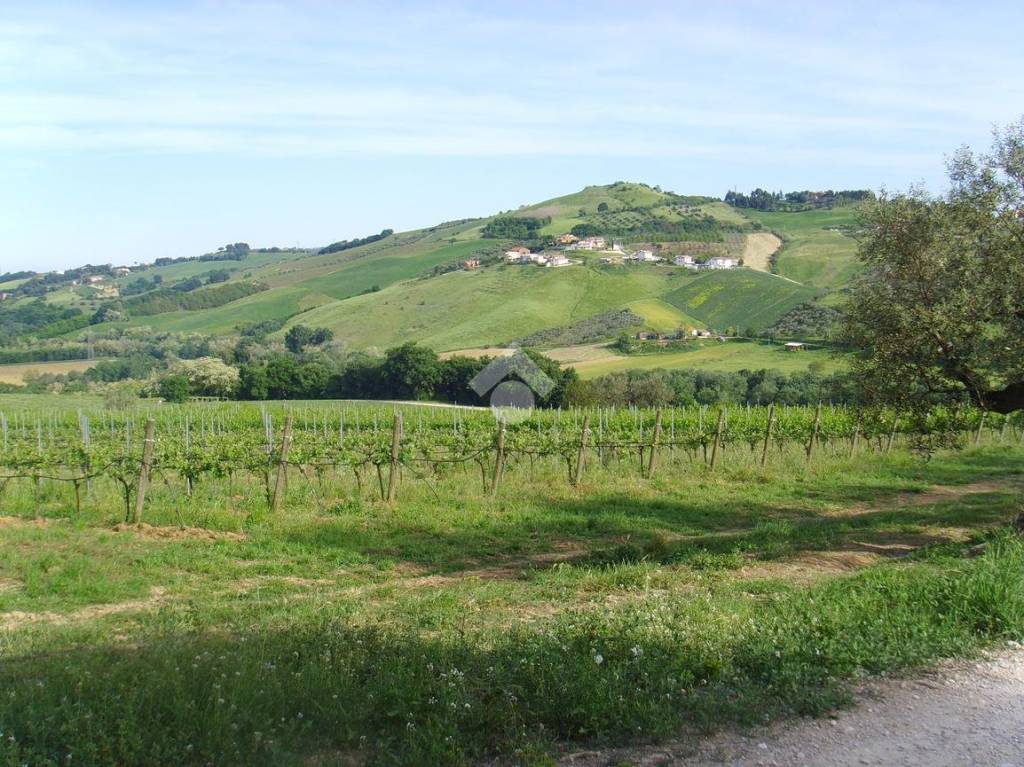 immagine annuncio 7 di 13
