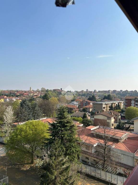 immagine annuncio 11 di 13