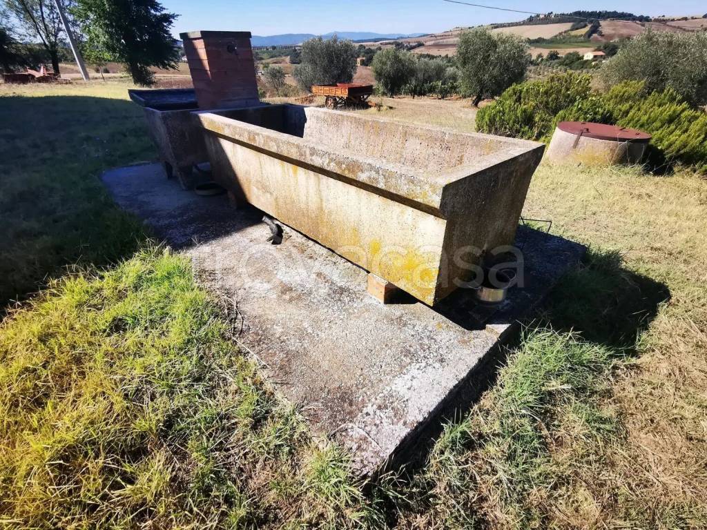 immagine annuncio 4 di 7