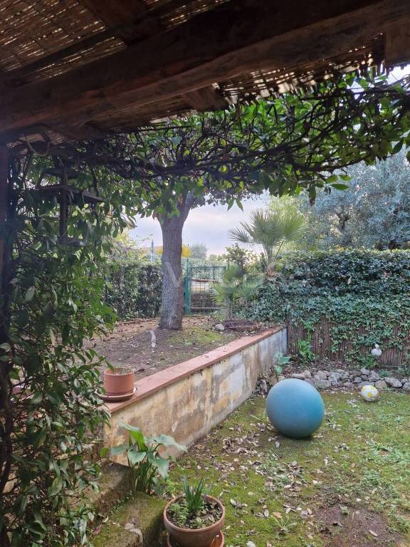 immagine annuncio 2 di 14