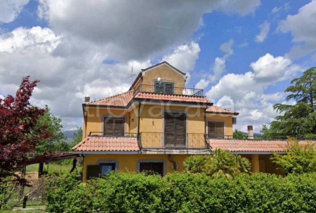immagine annuncio 9 di 11