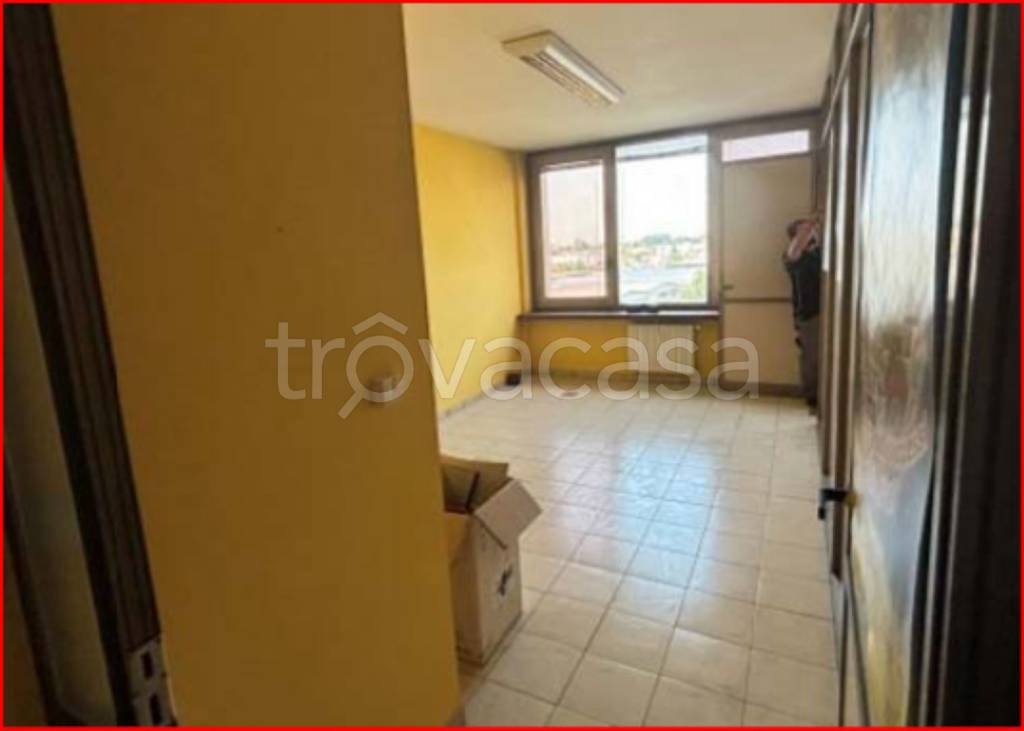 immagine annuncio 12 di 13