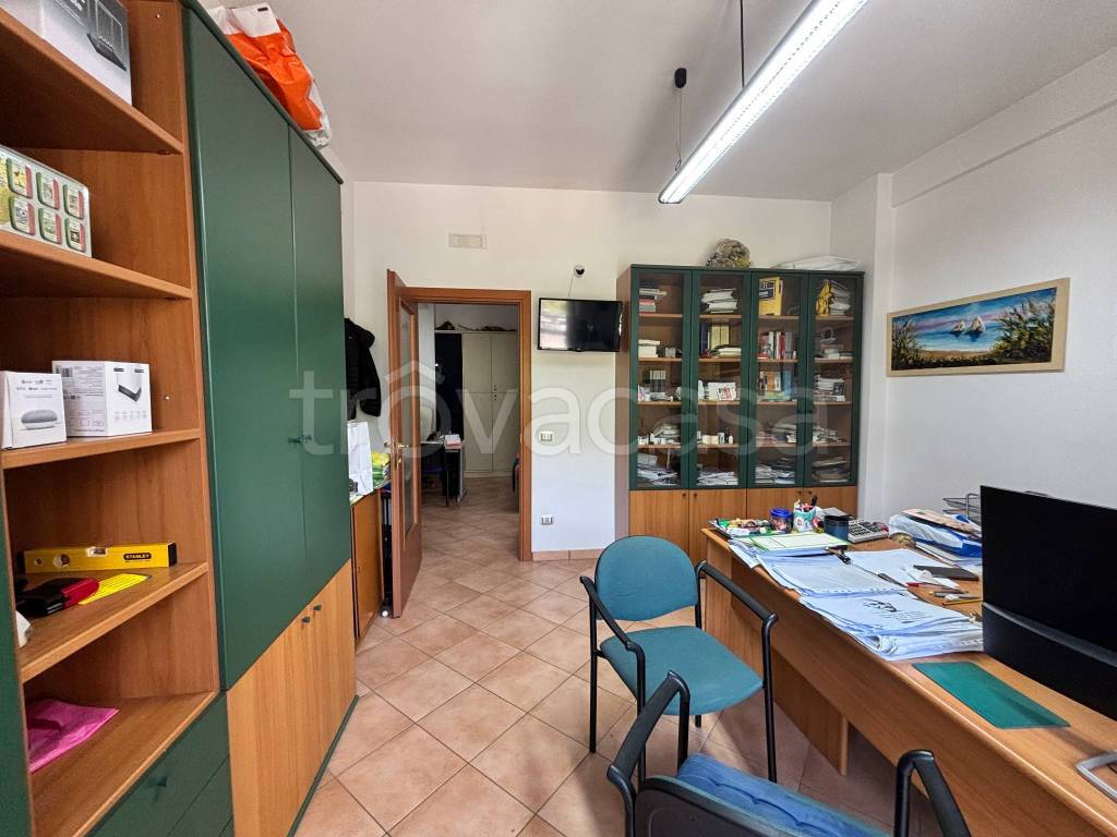 immagine annuncio 9 di 12