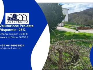 Terreno agricolo all'asta a colle di tora sp34