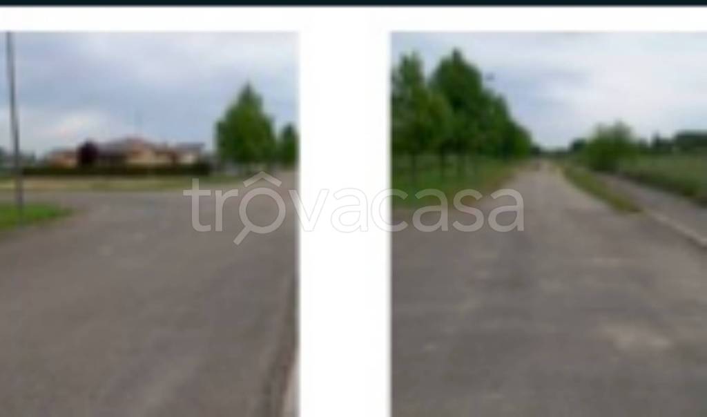 immagine annuncio 4 di 8