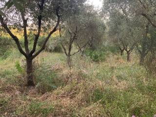 Terreno agricolo in vendita a peccioli via di casa bianca, 15