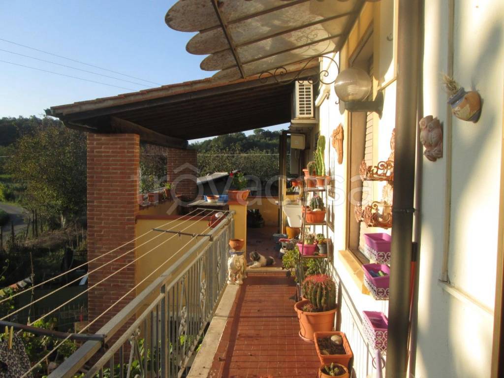 immagine annuncio 4 di 7