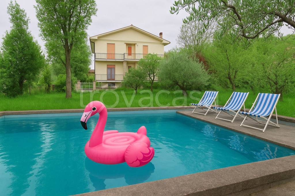 immagine annuncio 4 di 15