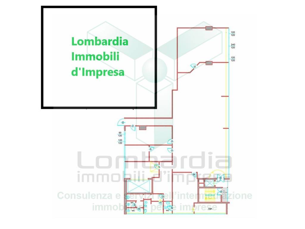 immagine annuncio 7 di 15