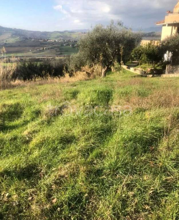 immagine annuncio 4 di 13