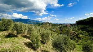 immagine annuncio 10 di 13