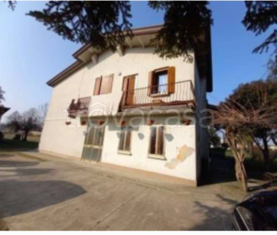 immagine annuncio 8 di 11