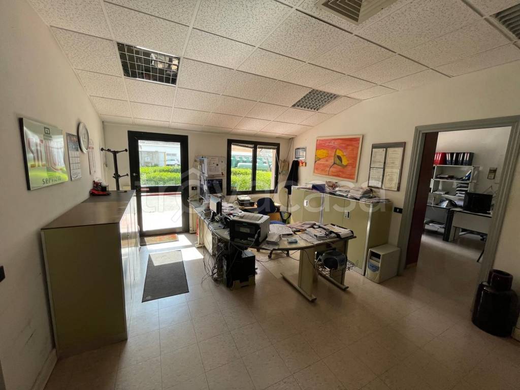 immagine annuncio 5 di 15