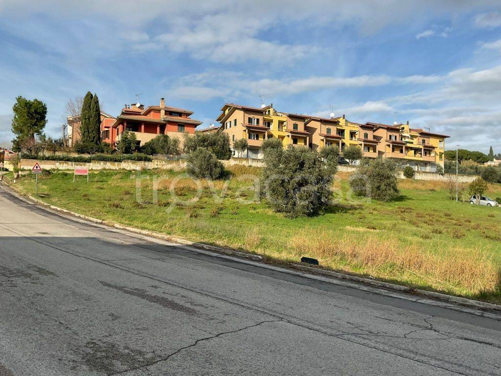 immagine annuncio 4 di 6