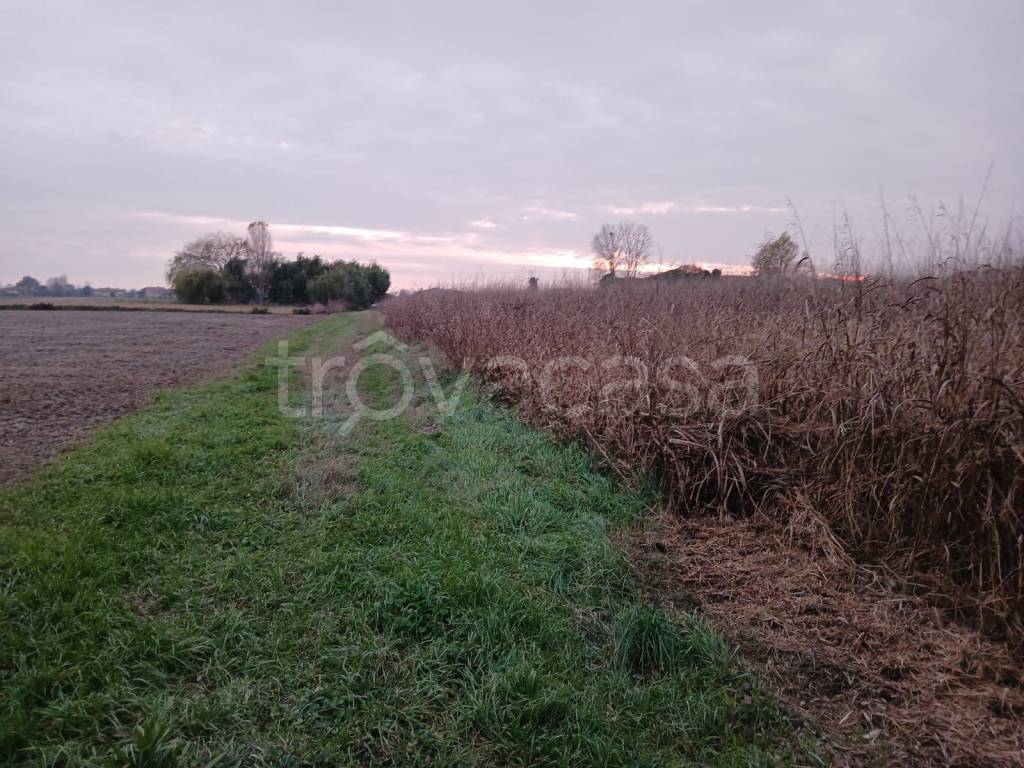 immagine annuncio 4 di 6