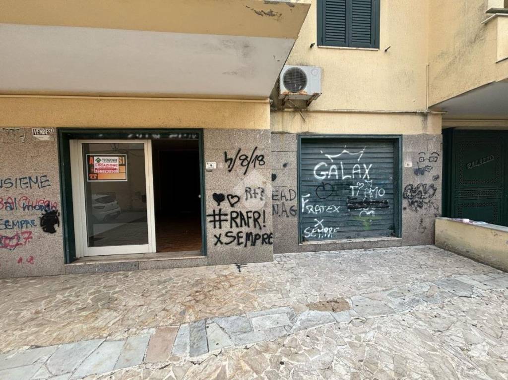 immagine annuncio 7 di 13