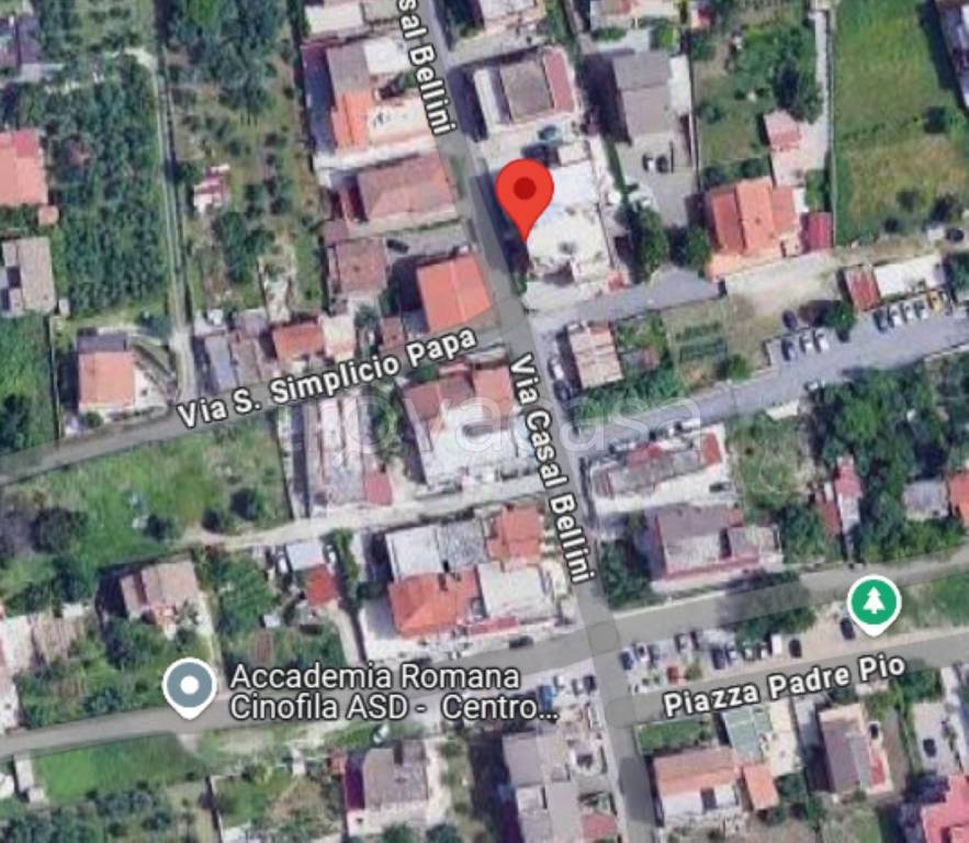 immagine annuncio 5 di 10