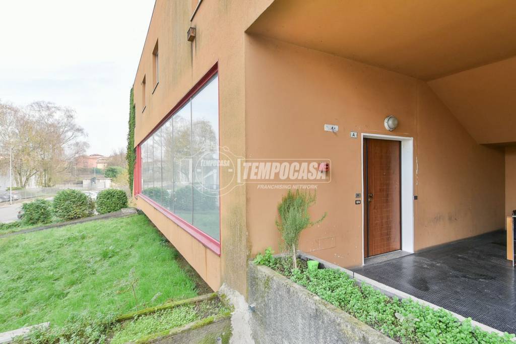 immagine annuncio 1 di 14