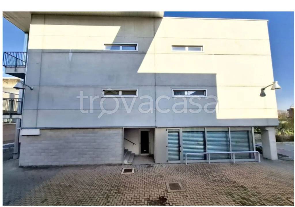 immagine annuncio 5 di 12